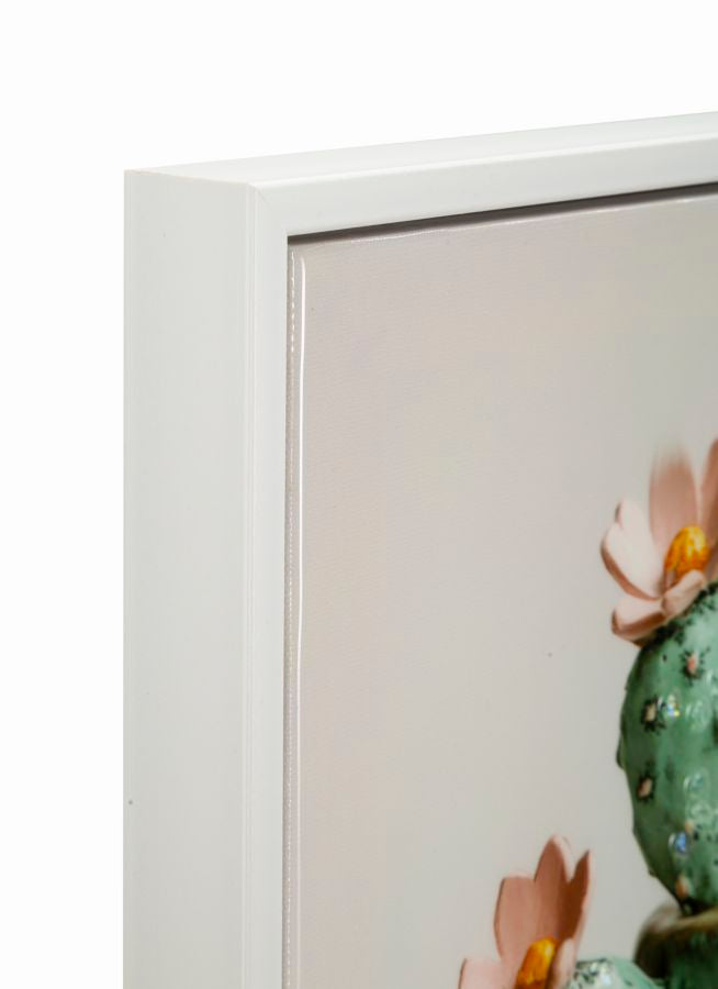 stampa_su_tela_laccata_con_cornice_vasetto_cactus_40x40_cm__cactus