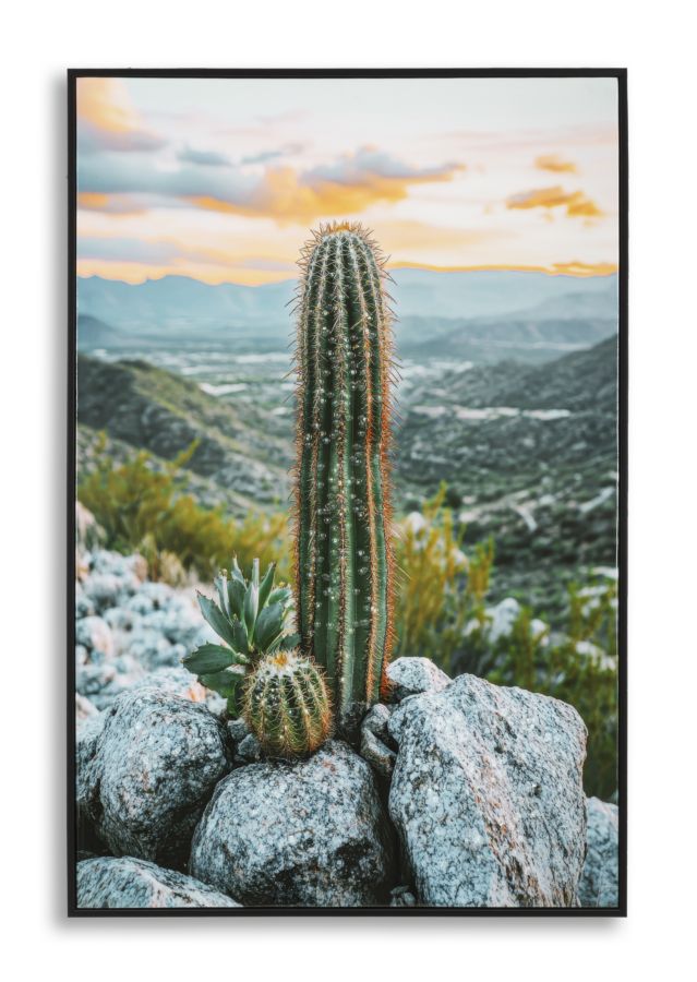 stampa_su_tela_laccata_con_cornice_cactus_60x90_cm__cactus