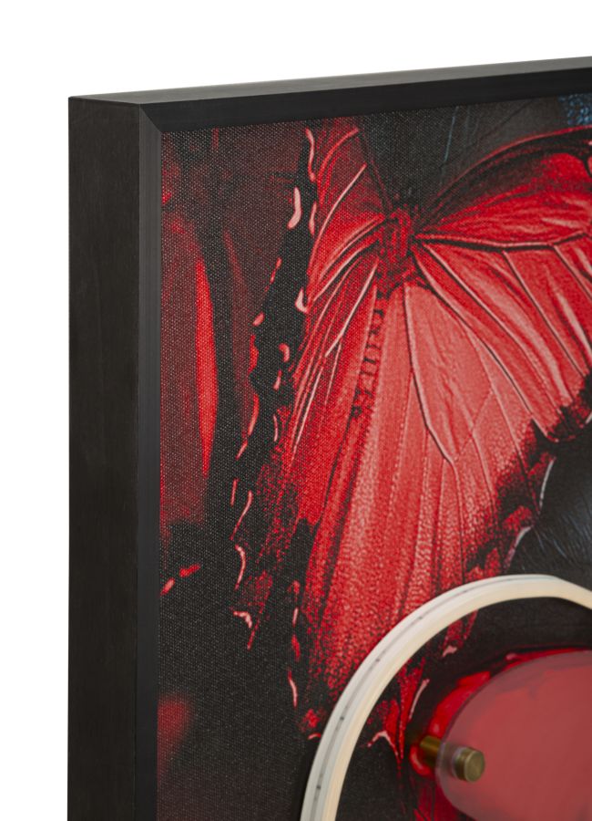 quadro_su_tela_con_led_farfalle_3d_in_acrilico_60x90_cm__butterflies
