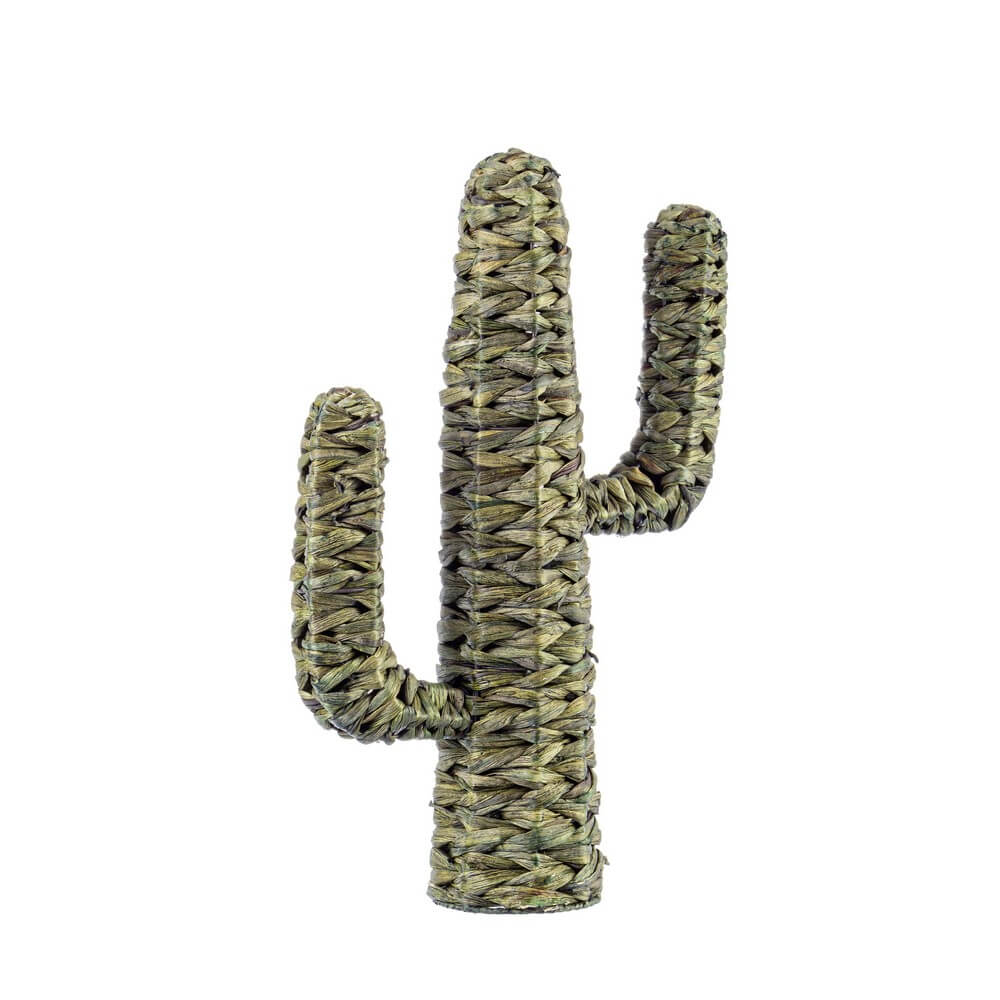 Set di 4 Cactus Decorativo in Fibra Vegetale Intrecciata Verde H59 - PYRIS