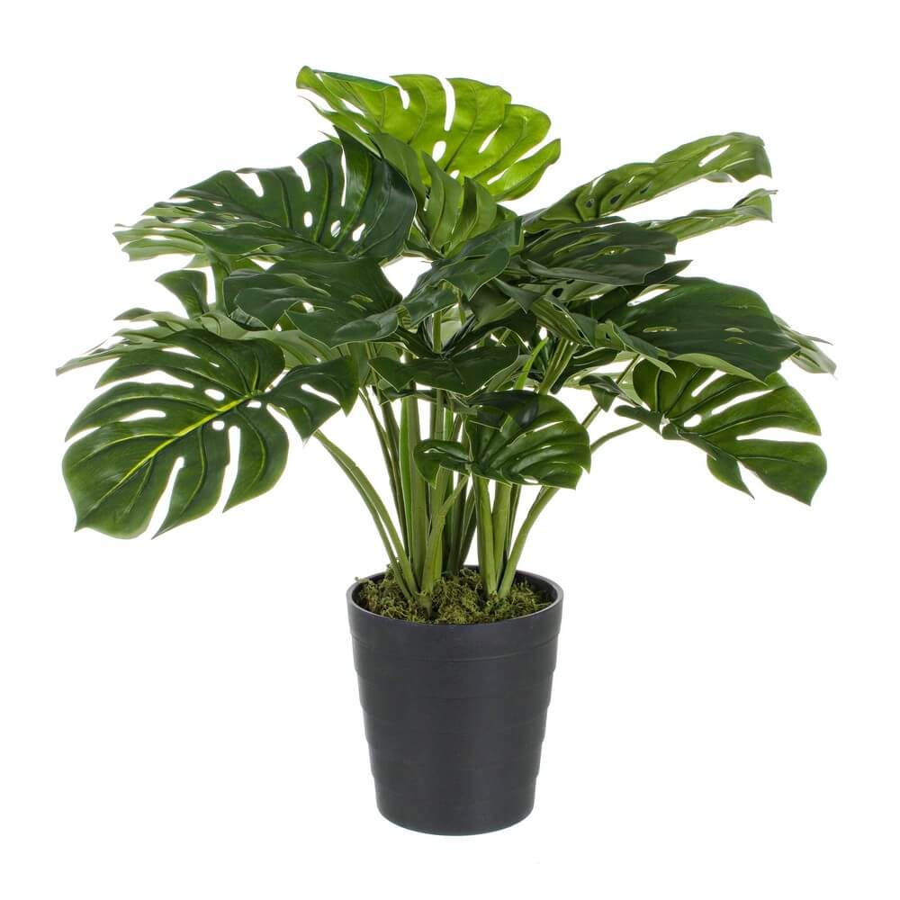 Set di 2 Piante Artificiali Filodendro con Vaso 24 Foglie H65cm - NEBULAR