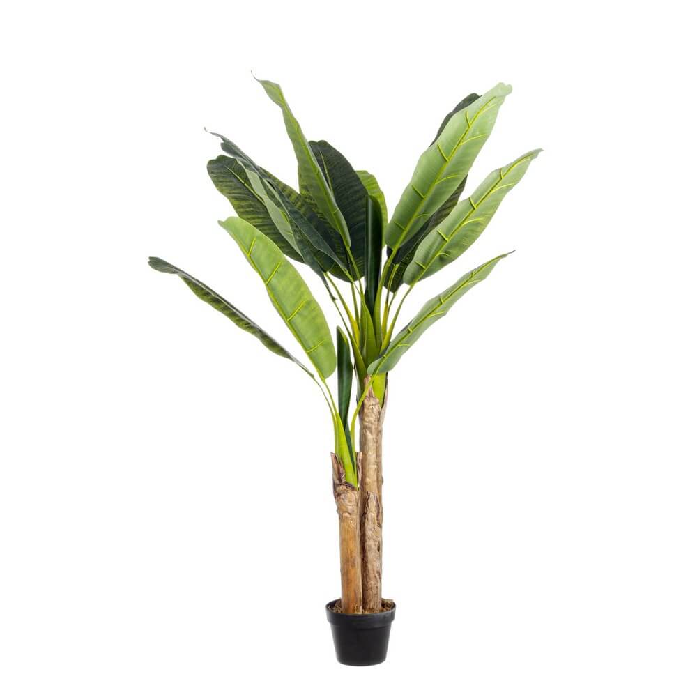 Set di 2 Piante Artificiali Banano con Vaso 14 Foglie H135 cm - ZENITALE