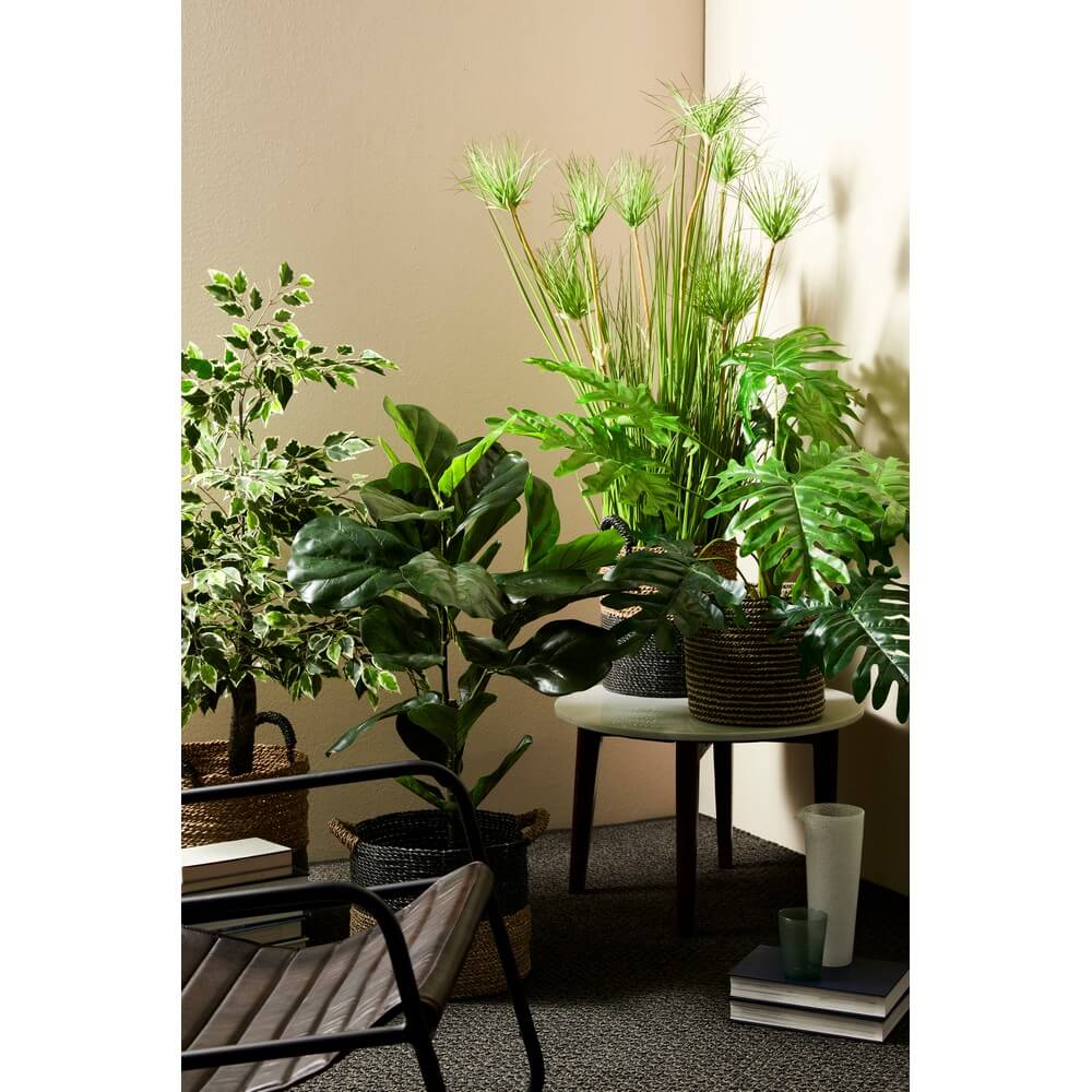Set di 4 Piante Artificiali Erba del Deserto con Vaso in PVC Verde H120cm - ECLISSE