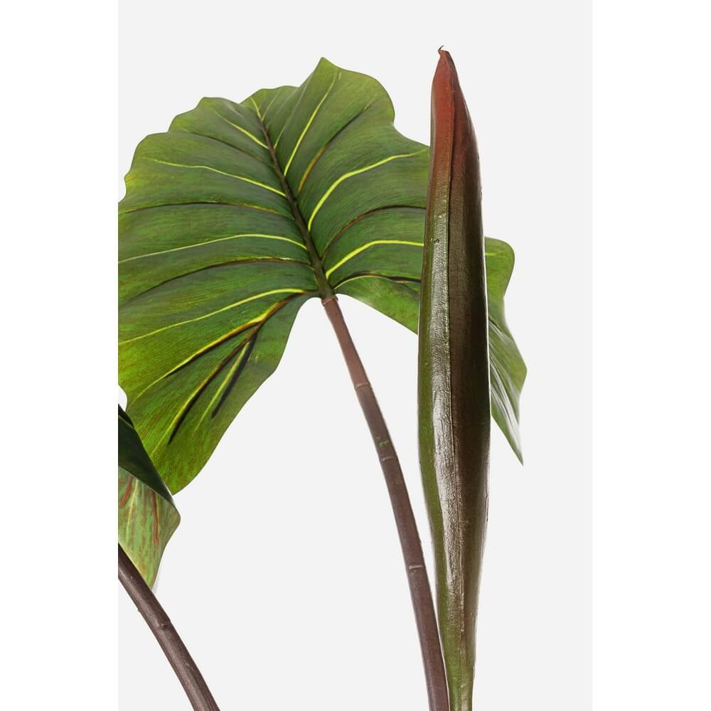 Set di 2 Piante Artificiali Dieffenbachia con Vaso 10 Foglie H134 - SERENICO