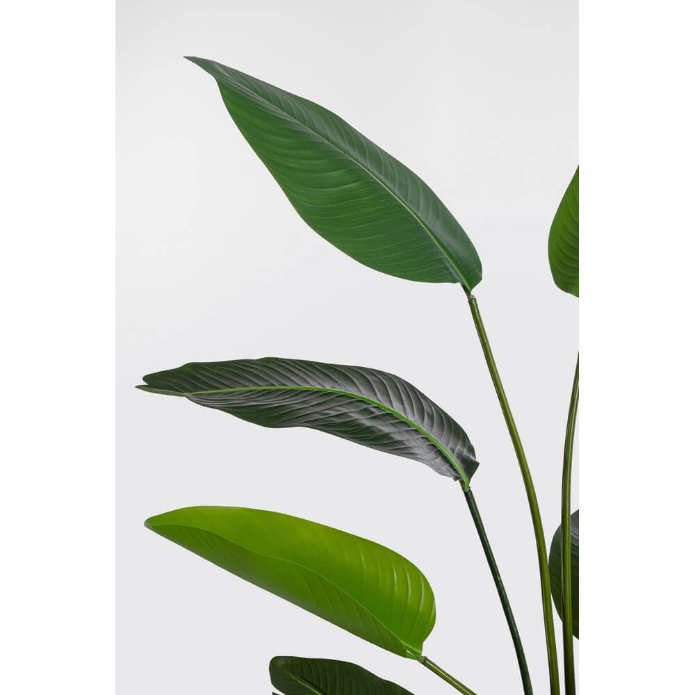 Set di 2 Piante Strelitzia Artificiali con Vaso 10 Foglie H150 cm - RIFLETTORE
