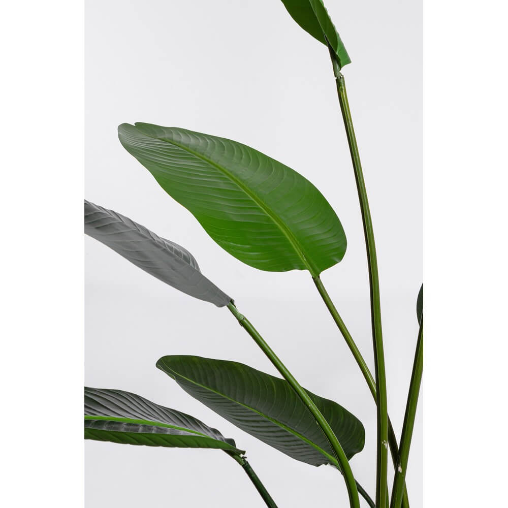 Set di 2 Piante Strelitzia Artificiali con Vaso 13 Foglie H185 - RIFLETTORE