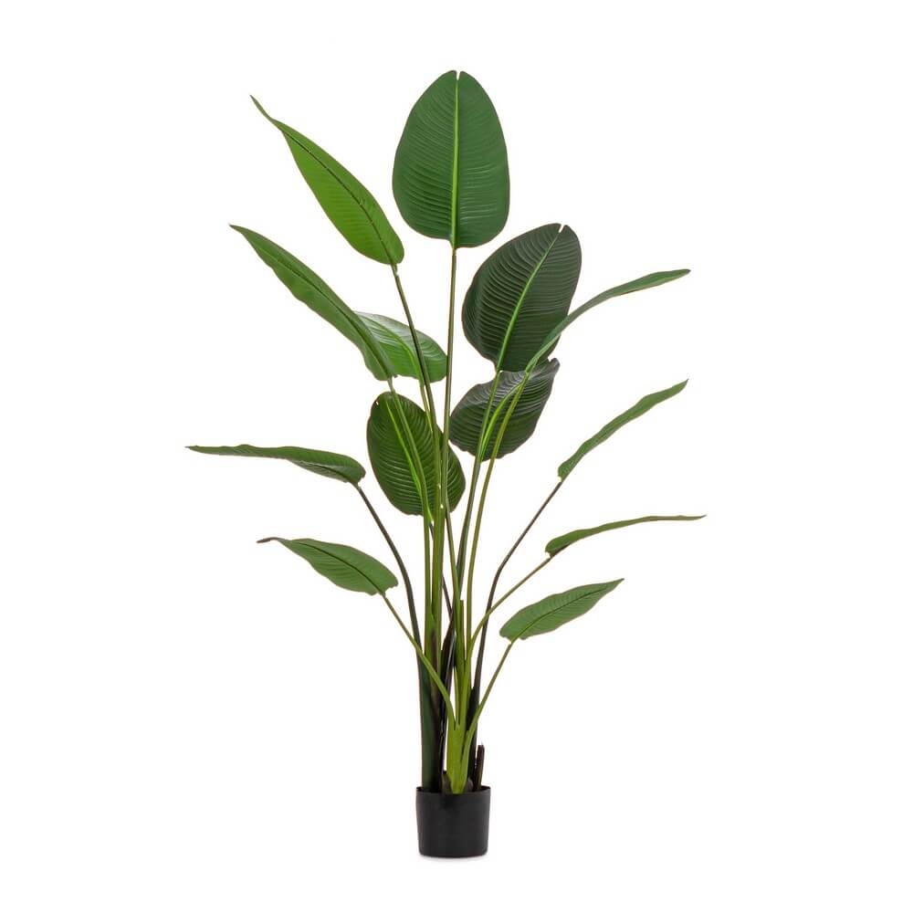 Set di 2 Piante Strelitzia Artificiali con Vaso 13 Foglie H185 - RIFLETTORE