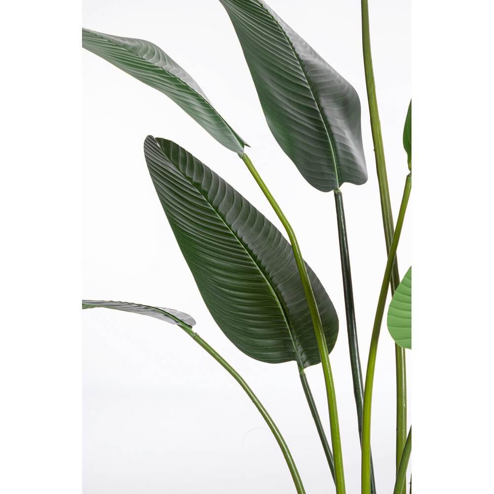 Set di 2 Piante Strelitzia Artificiali con Vaso 13 Foglie H235 - RIFLETTORE
