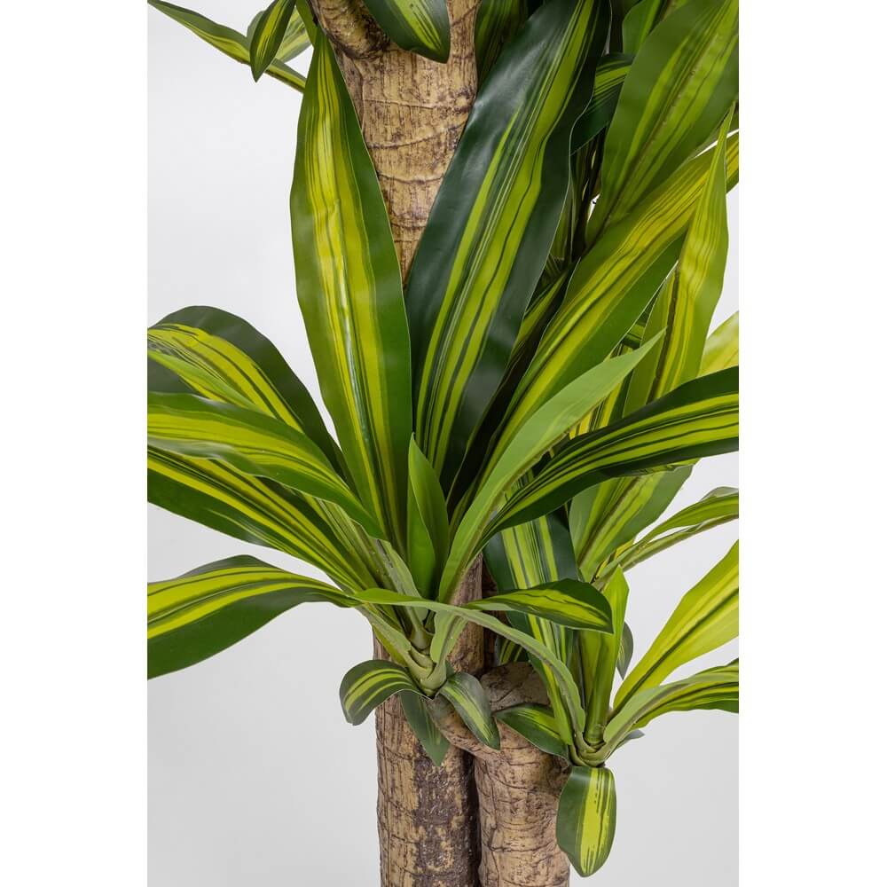 Set di 2 Piante Dracaena Artificiali con Vaso Altezza 130 cm - SERAPHIM