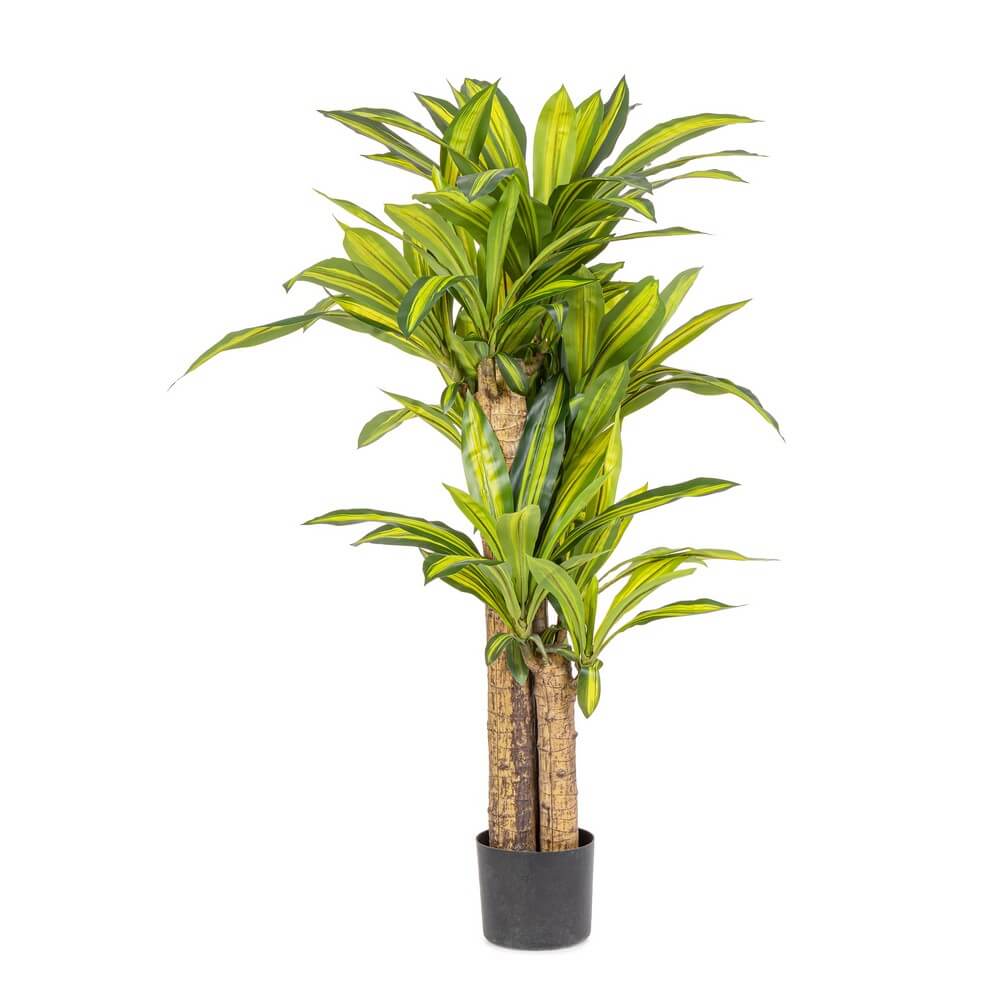Set di 2 Piante Dracaena Artificiali con Vaso Altezza 130 cm - SERAPHIM