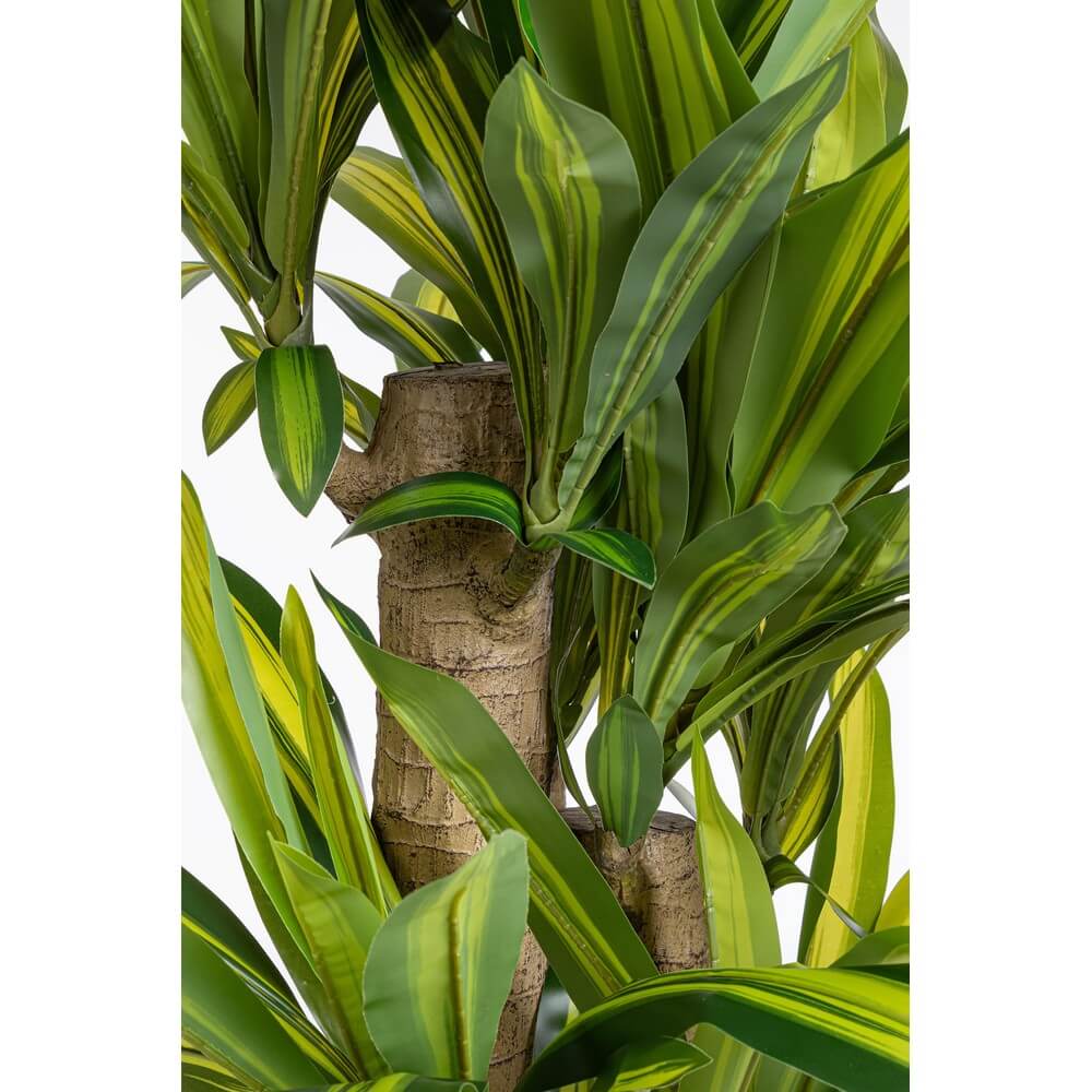 Set di 2 Piante Dracaena Artificiali con Vaso Altezza 150 cm - SERAPHIM