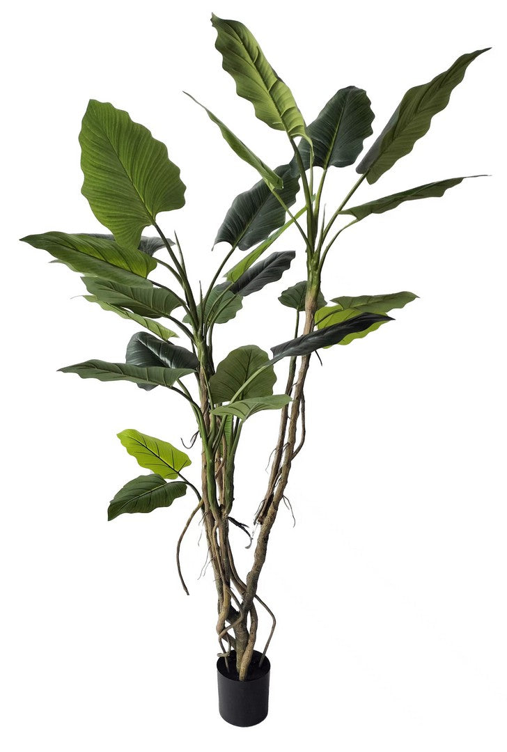 Set di 2 Piante Artificiali Alocasia con Vaso Alte 190 cm - ALOCASIA