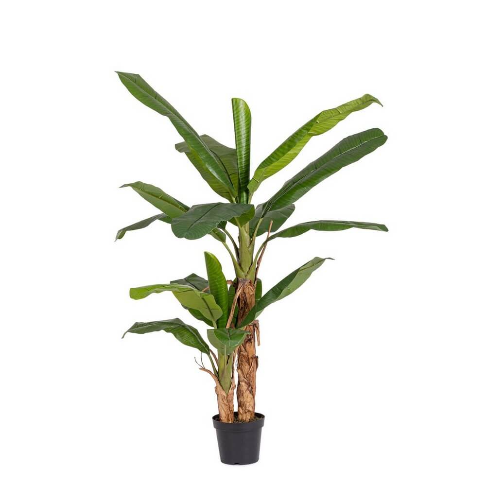 Set di 2 Piante di Banano Artificiali con Vaso 10 Foglie H210 cm Resistenti UV - BANANO