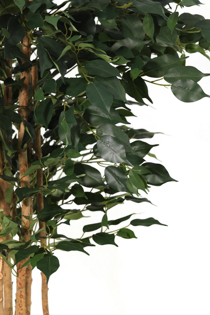 Set di 2 Piante Ficus Artificiali con Vaso Altezza 175 cm - FICUS