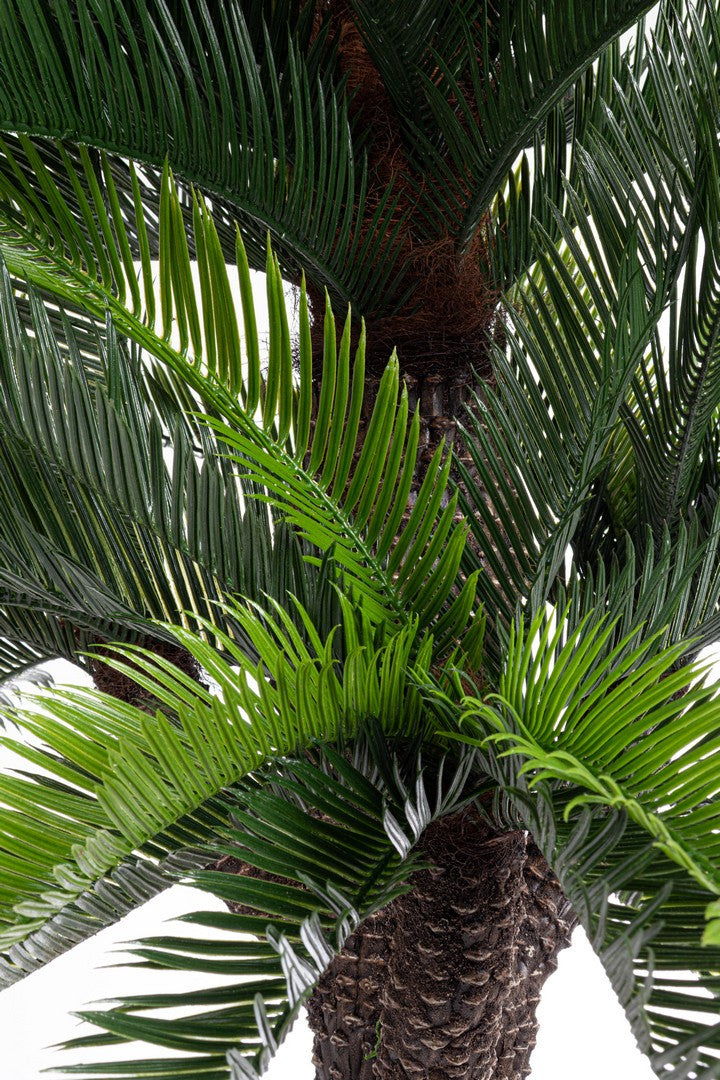 Palma Cycas Artificiale con Vaso 190 cm Protezione UV - PALMA