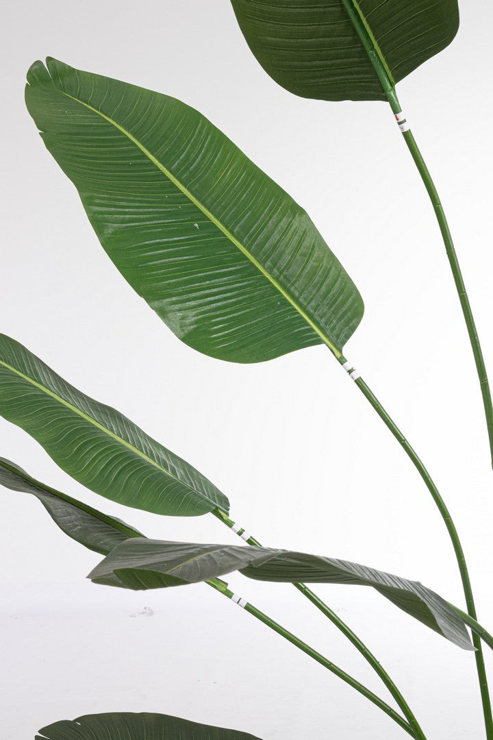 Pianta Artificiale Strelitzia a 17 Foglie - STRELITZIA