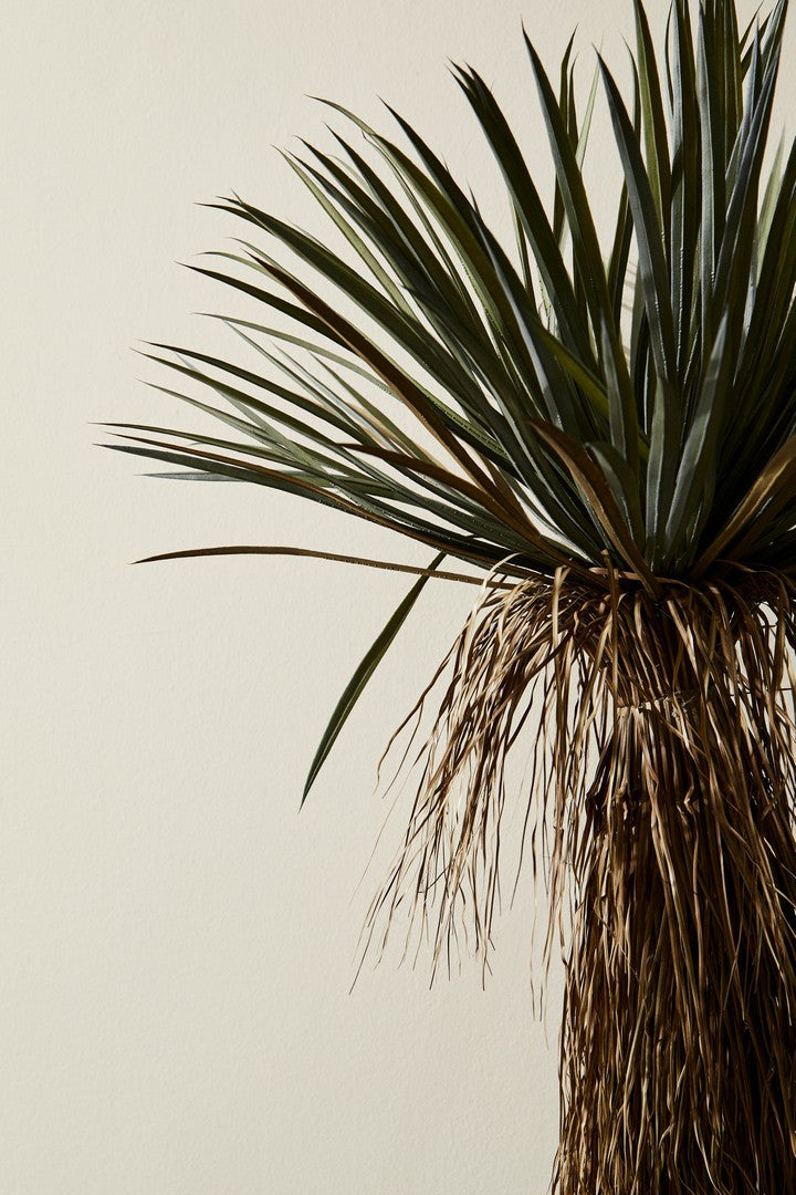 Pianta Yucca Rostrata Artificiale - YUKKA
