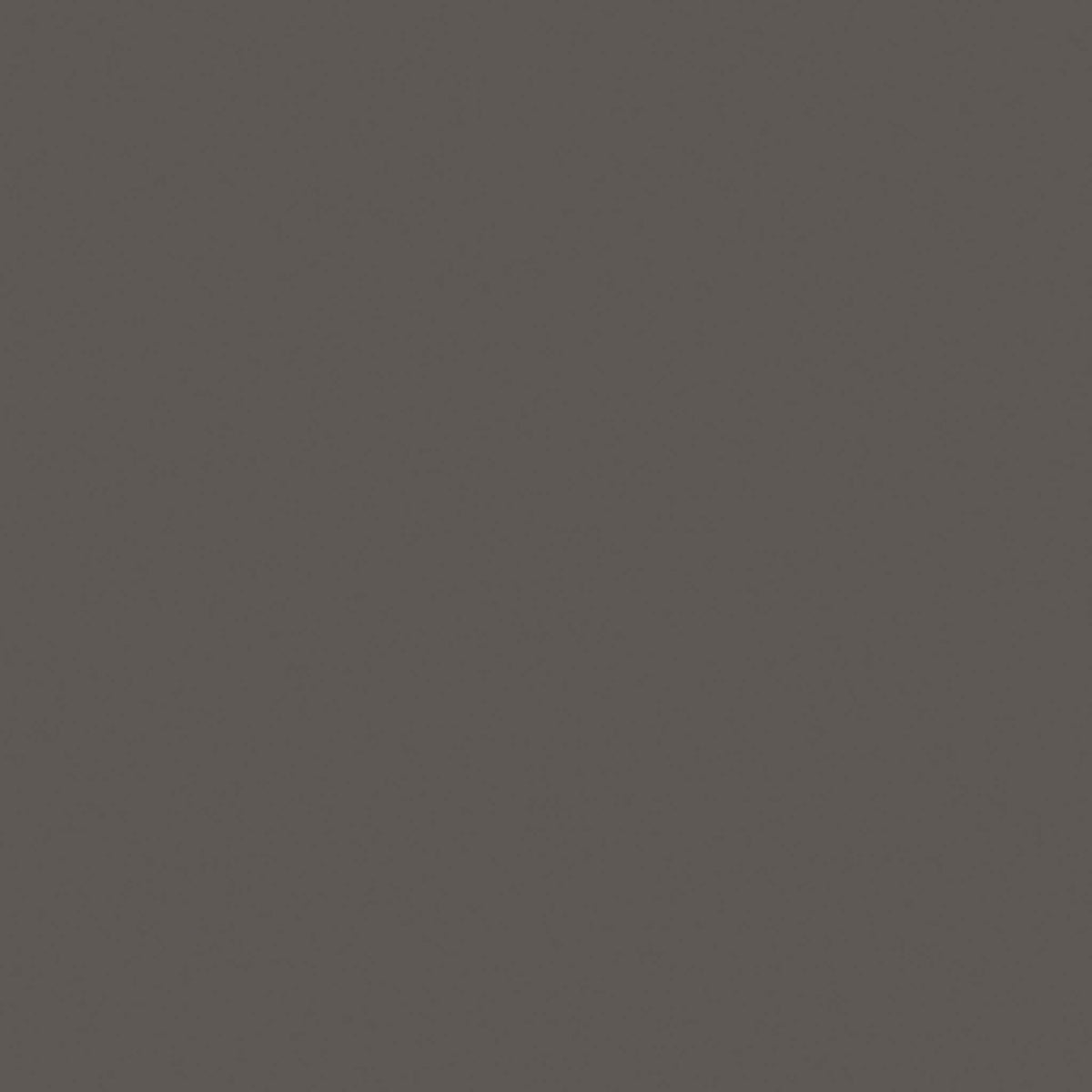#colore_Beige