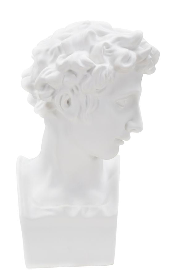 scultura_testa_maschile_classica_in_stile_rinascimentale_20x30_cm__claudia