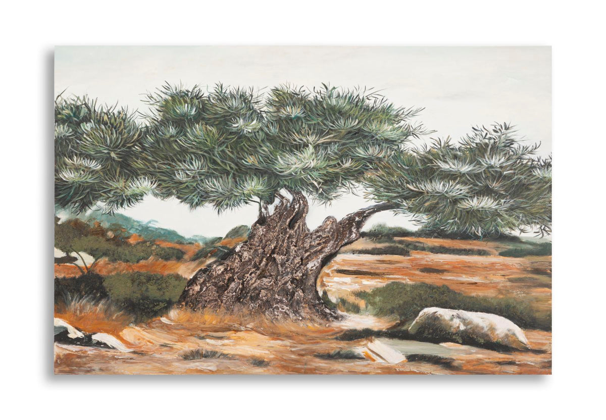 dipinto_su_tela_con_ulivo_120x80_cm_con_cornice_profonda__olivo
