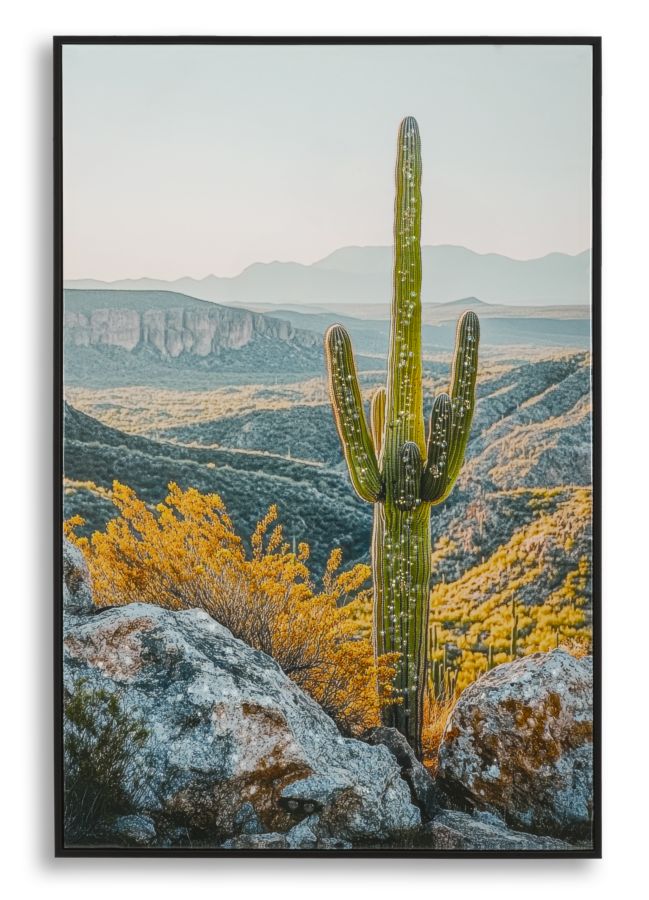 stampa_su_tela_laccata_con_cornice_cactus_60x90_cm__cactus
