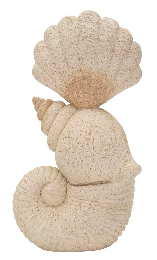 conchiglia_decorativa_in_sabbia_17x10x30_cm__conchiglia
