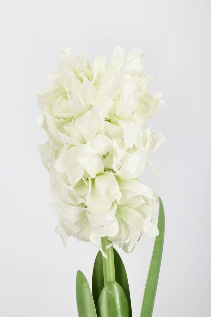 #colore_Bianco