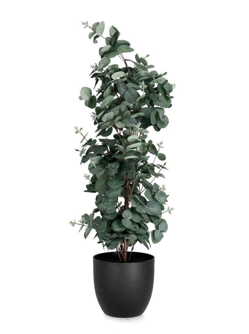 Set di 4 Piante Artificiali di Eucalipto con Vaso Nero H90 cm - EUCALIPTPO