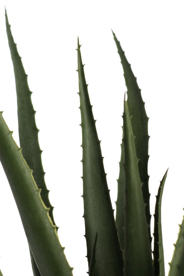 Set di 4 Piante Aloe Artificiali con Vaso 16 Foglie H60cm - ALOE