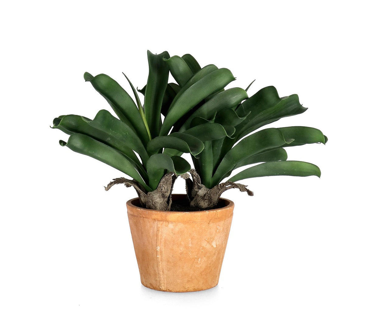 Set di 4 Piante Artificiali Ananas con Vaso in Terracotta H43cm - ANANAS
