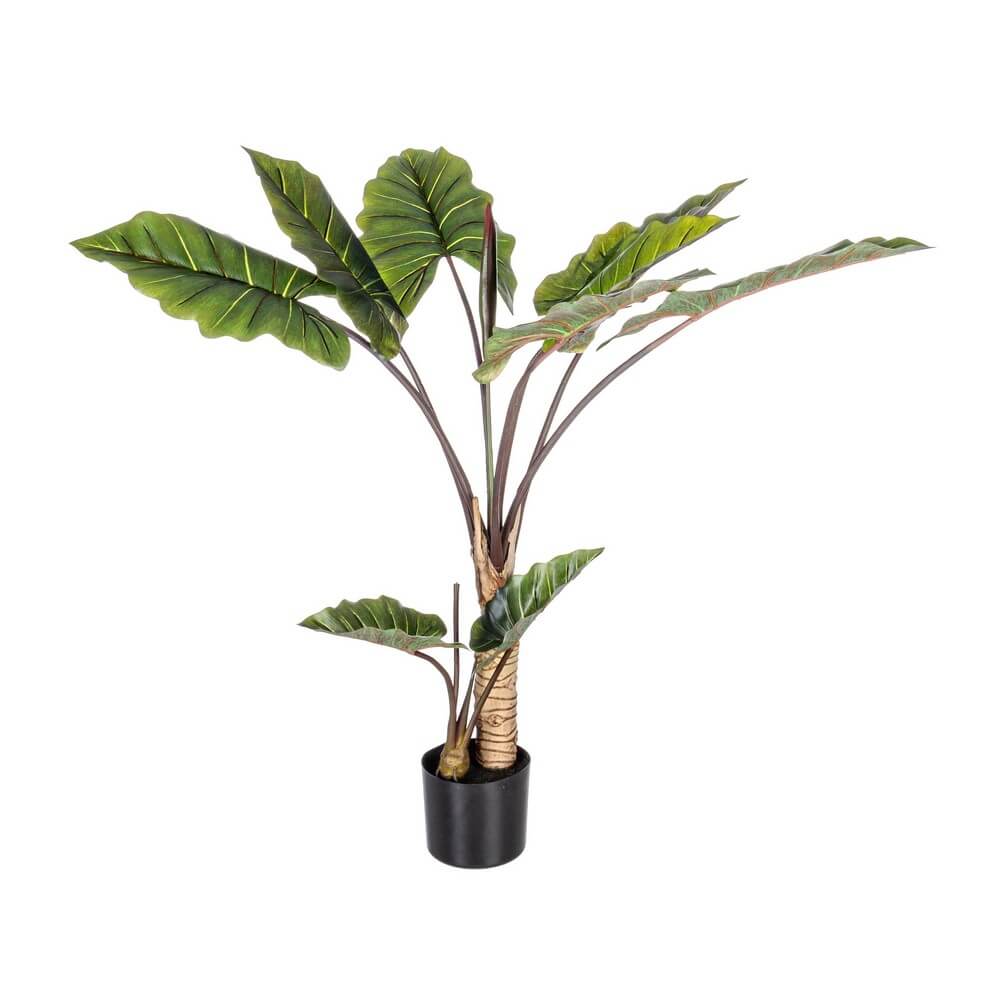 Set di 2 Piante Artificiali Dieffenbachia con Vaso 10 Foglie H134 - SERENICO
