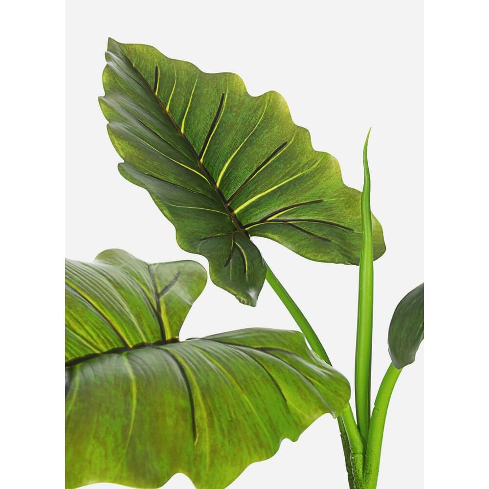 Set di 4 Piante Artificiali Dieffenbachia con Vaso 7 Foglie H78 - SERENICO