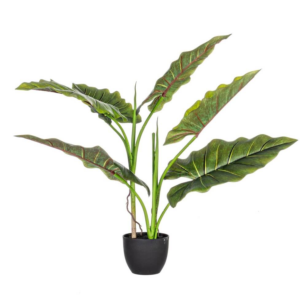 Set di 4 Piante Artificiali Dieffenbachia con Vaso 7 Foglie H78 - SERENICO