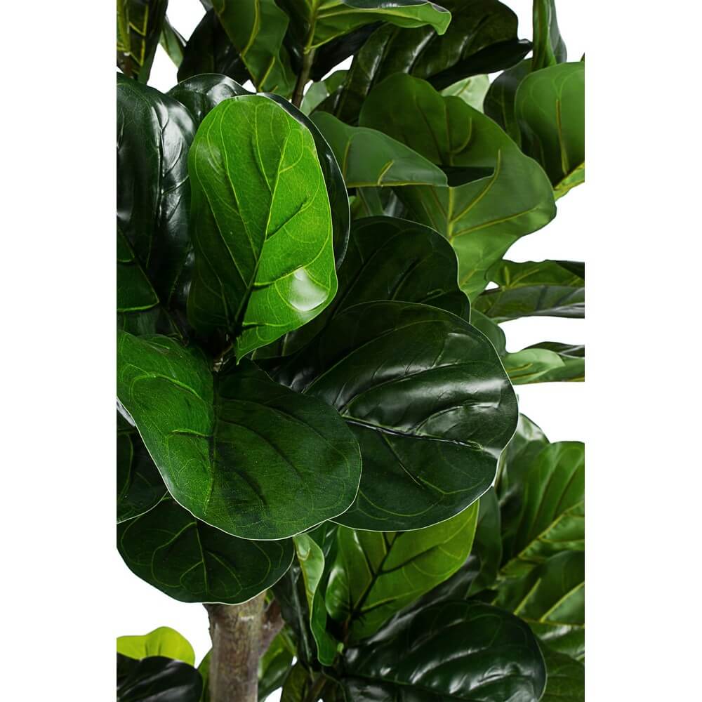 Pianta Artificiale Ficus Lyrata con Vaso 153 Foglie H190 cm - EMBRACIA