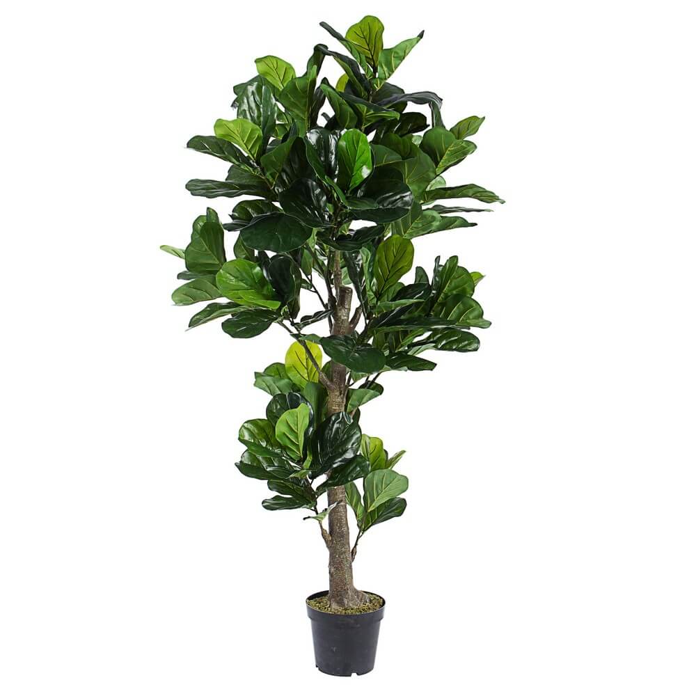 Pianta Artificiale Ficus Lyrata con Vaso 153 Foglie H190 cm - EMBRACIA