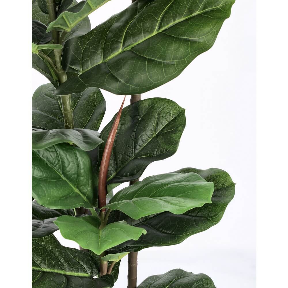 Set di 2 Ficus Lyrata Artificiale con Vaso 39 Foglie H145 cm - EMBRACIA