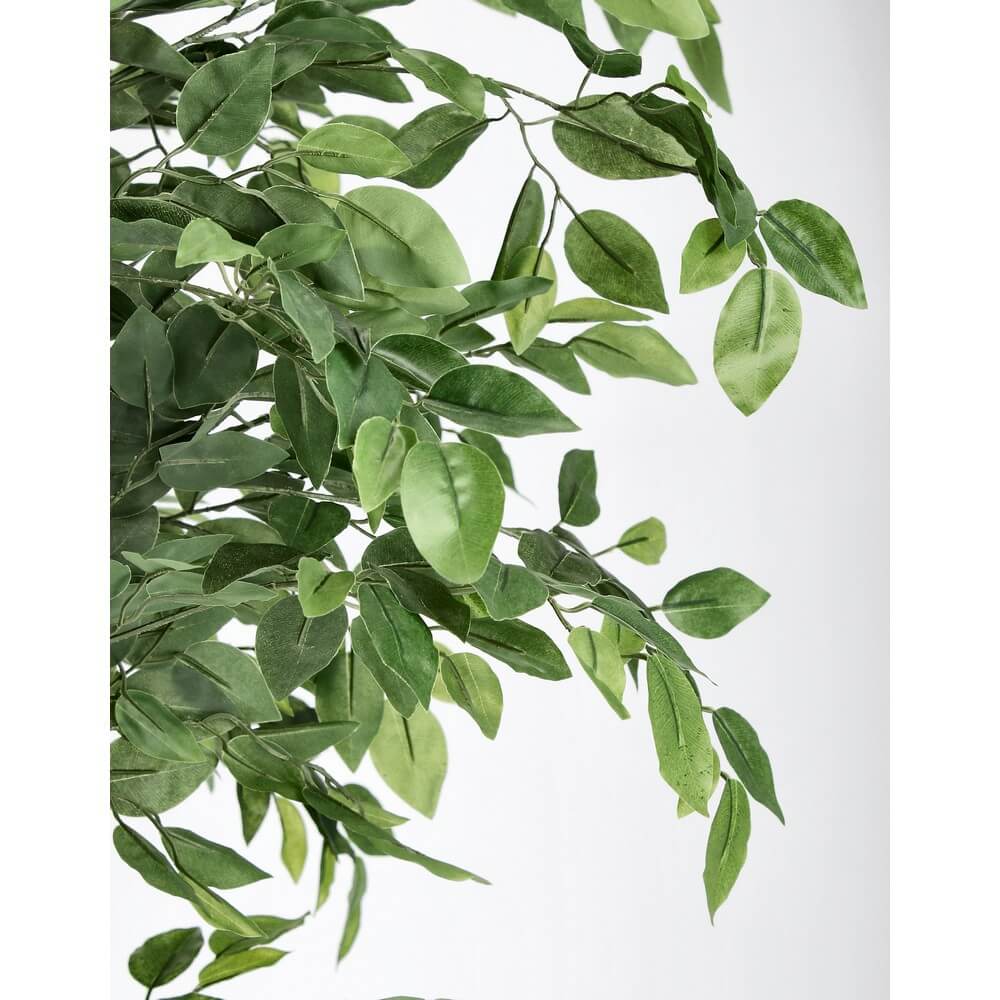 Set di 2 Ficus Artificiale con Vaso 2480 Foglie Alto 210 cm - FUSIONIS