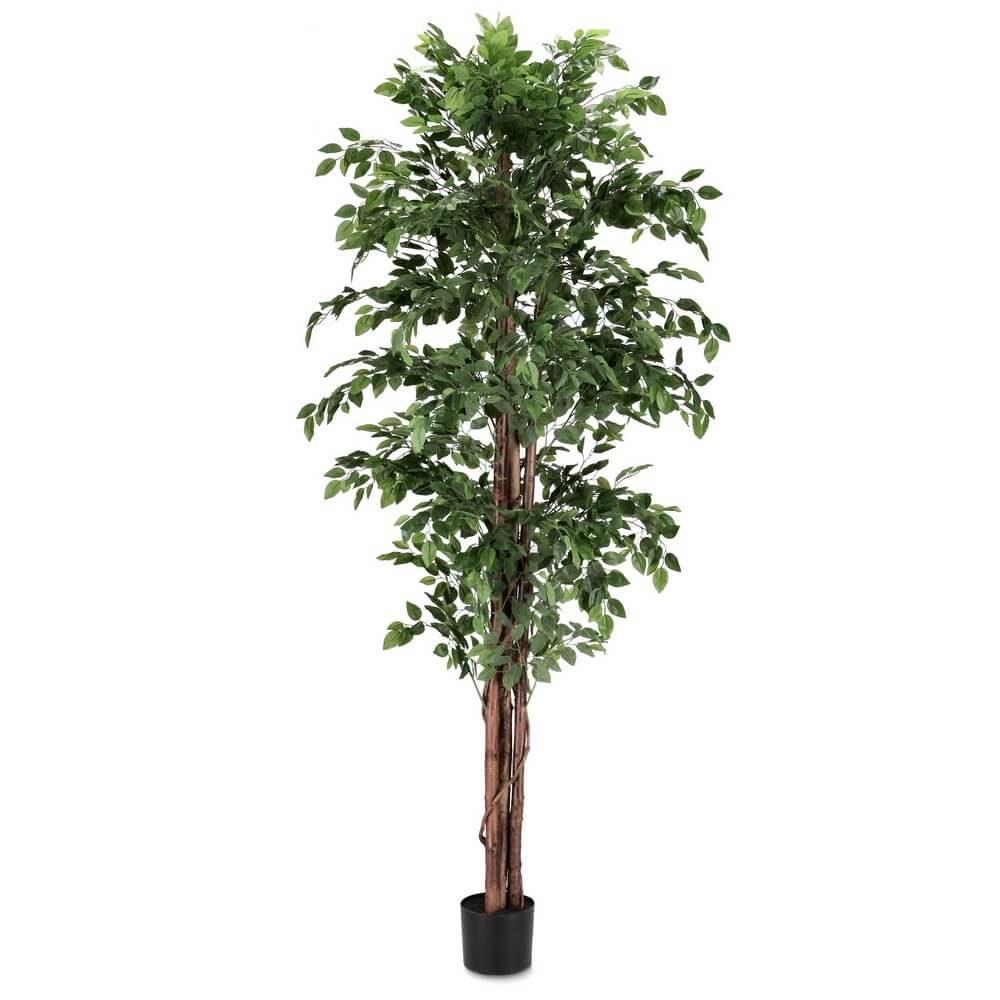 Set di 2 Ficus Artificiale con Vaso 2480 Foglie Alto 210 cm - FUSIONIS