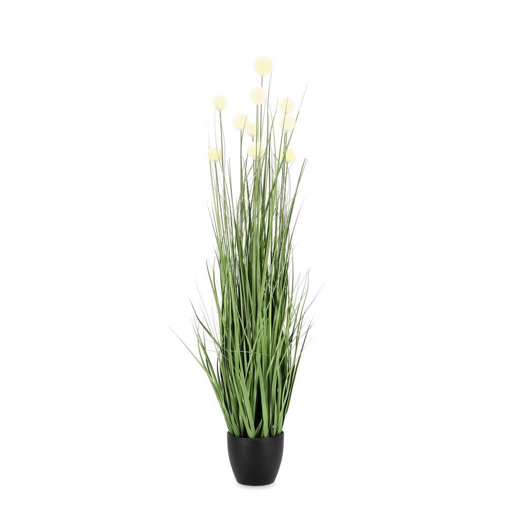 Set di 6 Piante Artificiali Eriophorum con Vaso Nero H110 cm - IMPERIALE