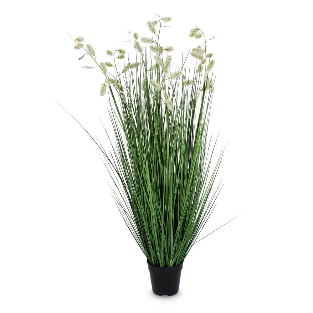 Pianta Artificiale Grevillea in Vaso Set di 4
 - IMPERIALE