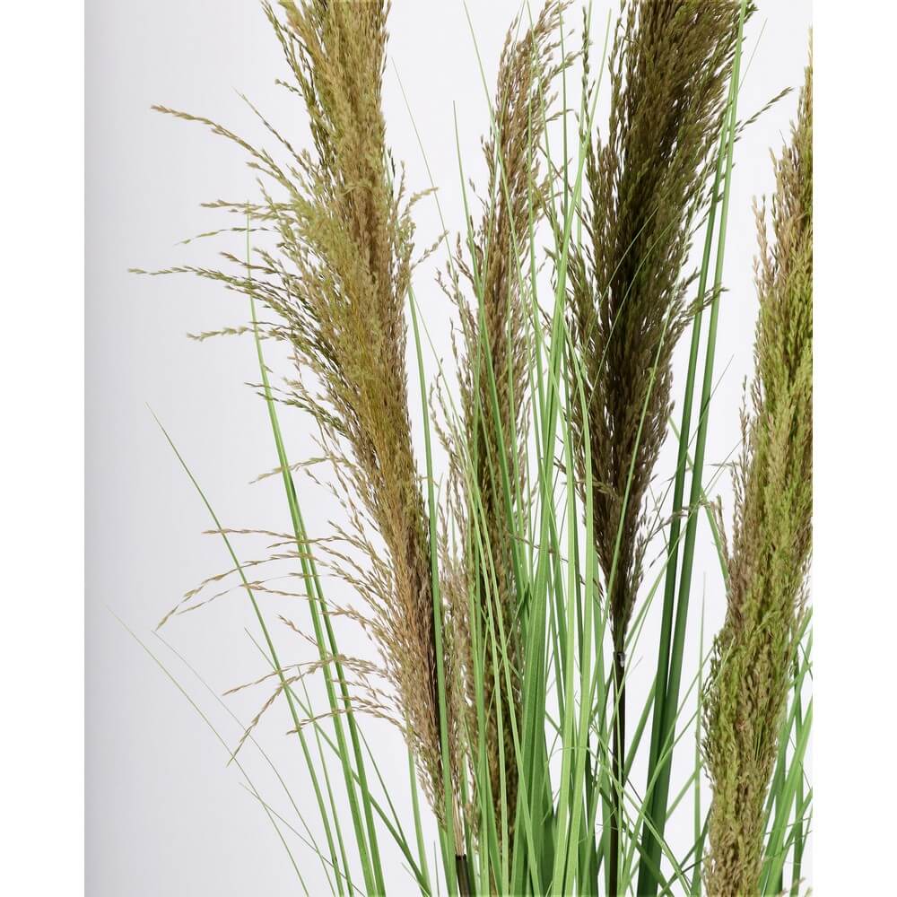 Set di 4 Piante Artificiali Erba Pampas con Vaso in Plastica H145 cm - SILHOUETTIA