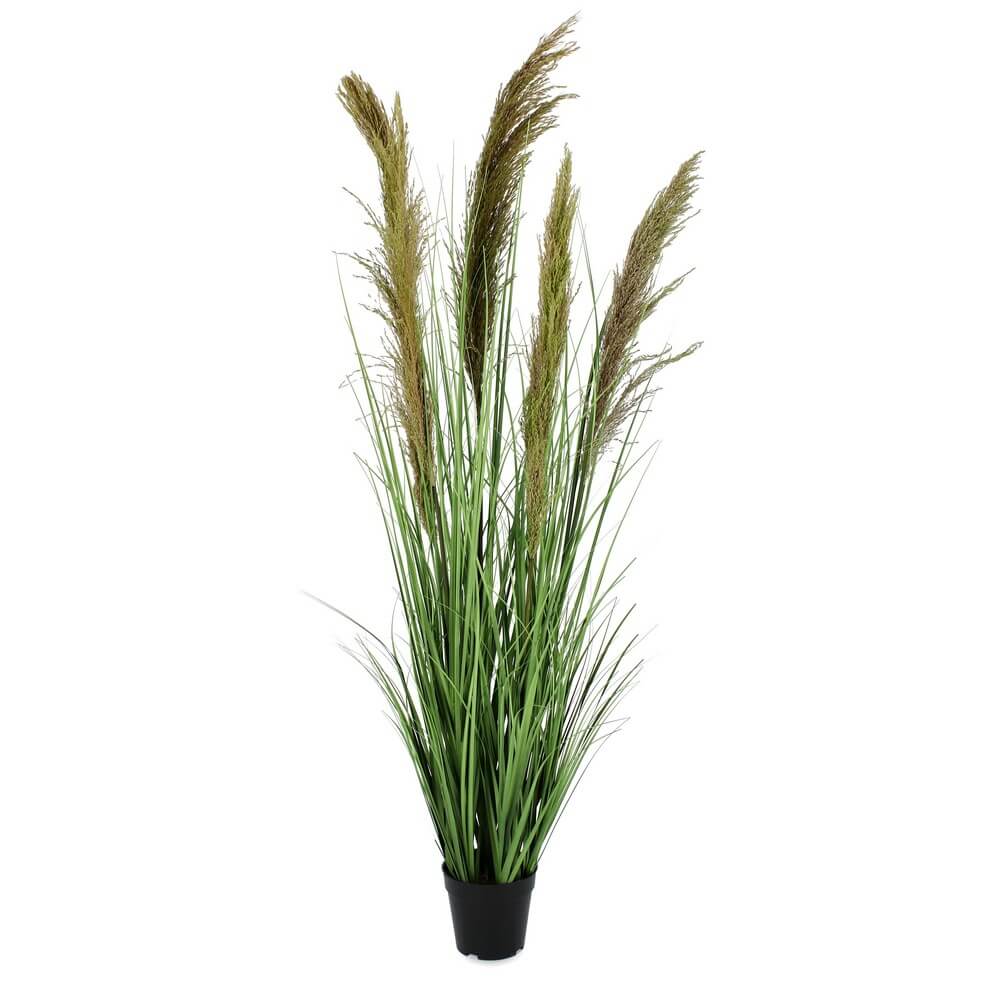 Set di 4 Piante Artificiali Erba Pampas con Vaso in Plastica H145 cm - SILHOUETTIA
