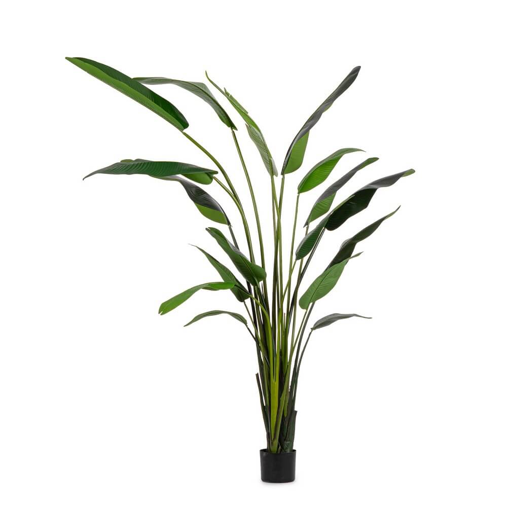 Pianta Artificiale Strelitzia con Vaso 18 Foglie H310 cm - RIFLETTORE