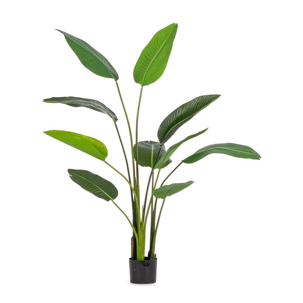 Set di 2 Piante Strelitzia Artificiali con Vaso 10 Foglie H150 cm - RIFLETTORE
