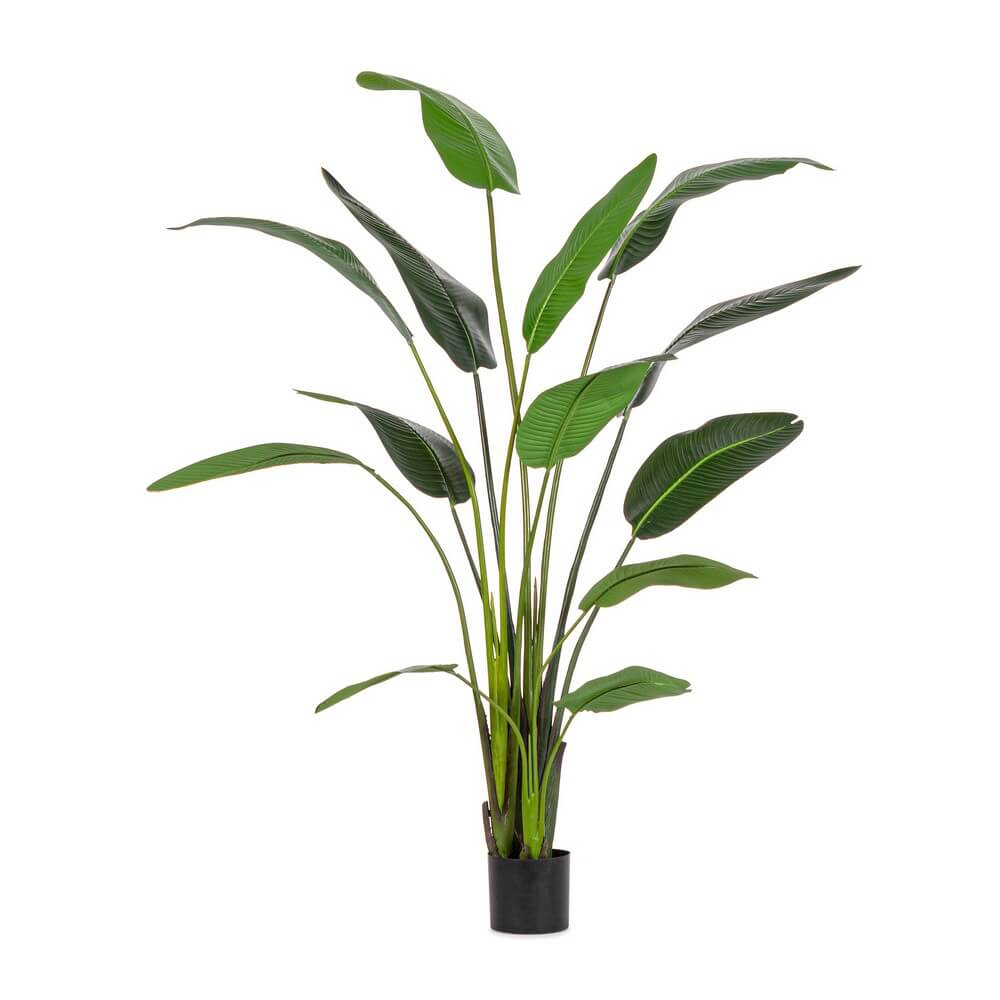 Set di 2 Piante Strelitzia Artificiali con Vaso 13 Foglie H235 - RIFLETTORE