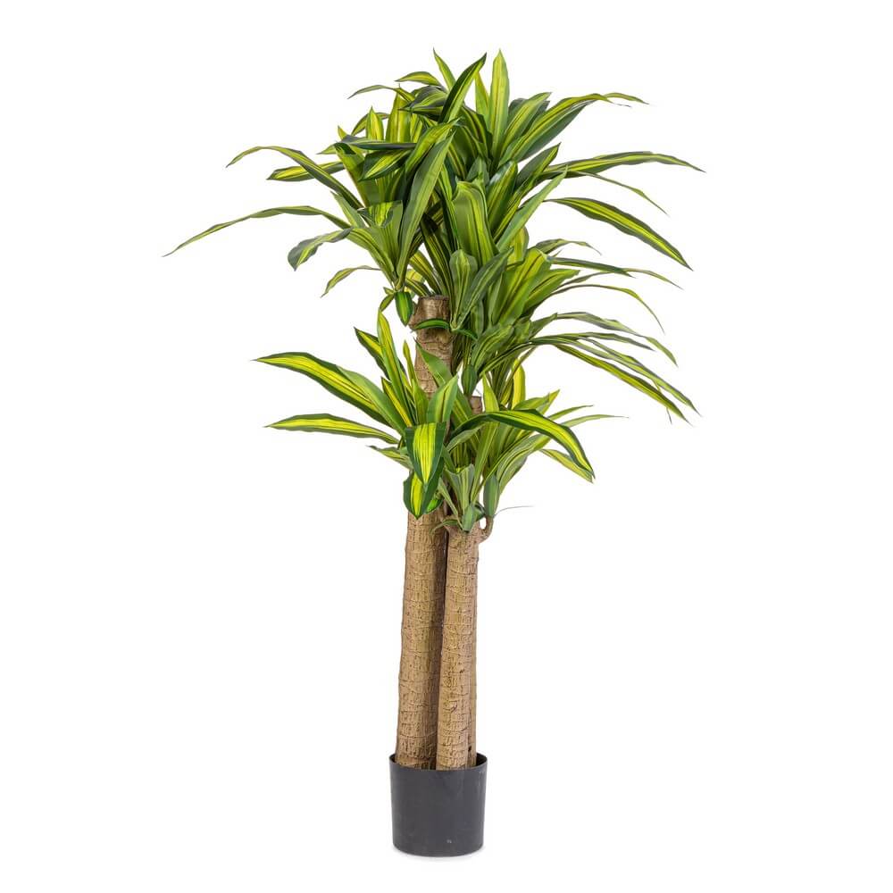 Set di 2 Piante Dracaena Artificiali con Vaso Altezza 150 cm - SERAPHIM