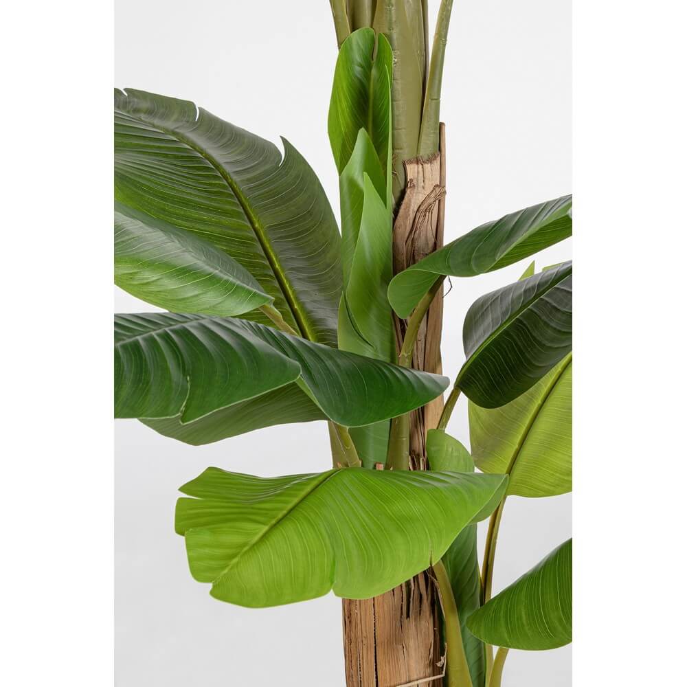 Pianta di Banano Artificiale con Vaso 20 Foglie H200 cm - ZENITALE