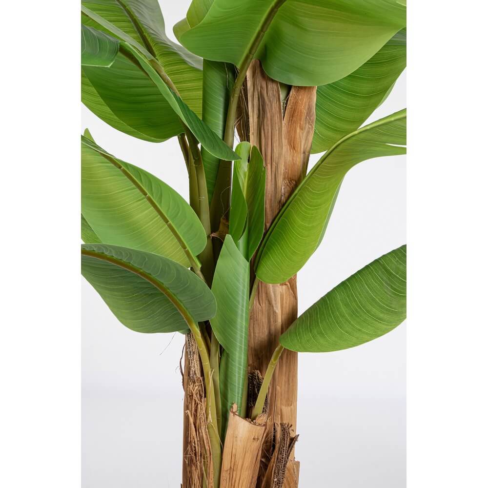 Pianta Artificiale Banano con Vaso 22 Foglie Altezza 240 cm - ZENITALE