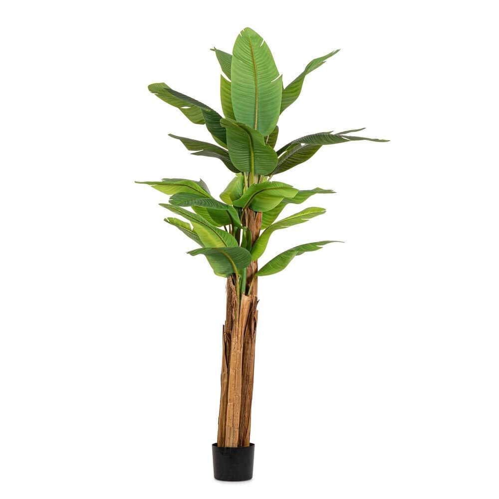 Pianta Artificiale Banano con Vaso 22 Foglie Altezza 240 cm - ZENITALE