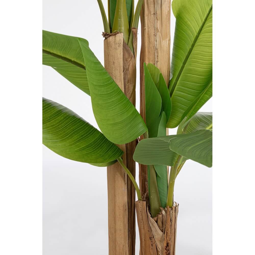 Pianta di Banano Artificiale con Vaso 24 Foglie H280 cm - ZENITALE